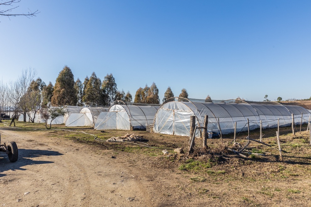 Calamuchita: fondos para la construcción de un Centro Verde y compra de maquinaria-La Ola Digital