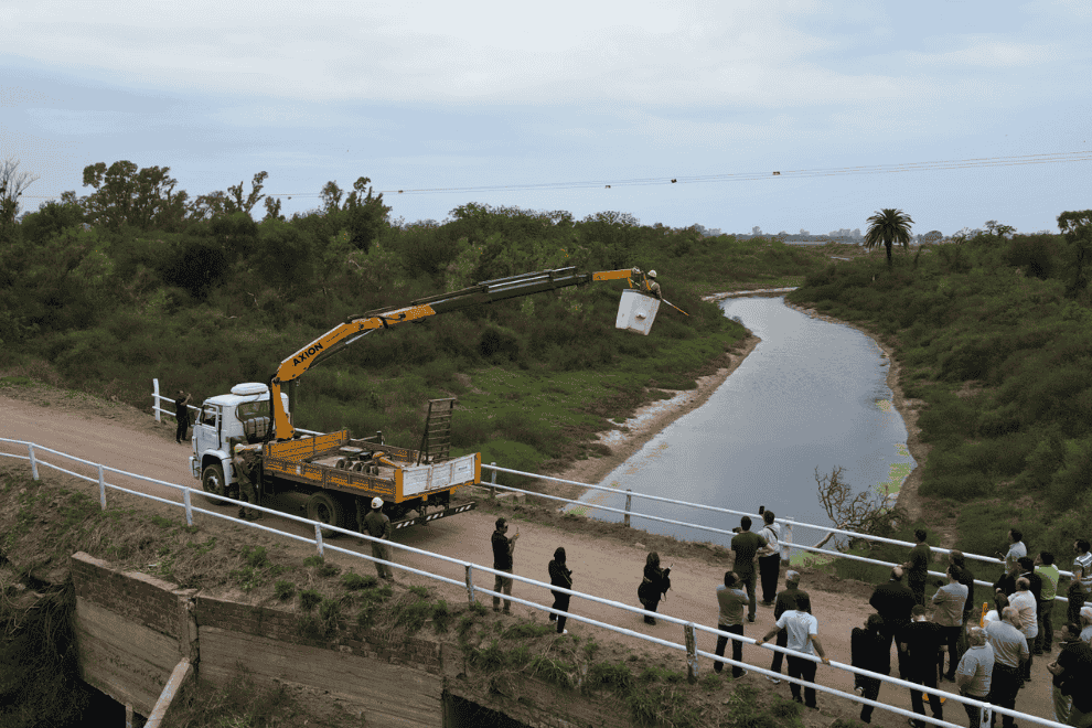 Inédito: instalaron desviadores de vuelo en líneas eléctricas para proteger aves migratorias en Ansenuza-La Ola Digital