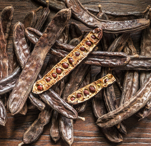 Un proyecto calamuchitano fue seleccionado por Slow Food Internacional-La Ola Digital