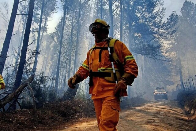 Está contenido el incendio de La Población-La Ola Digital