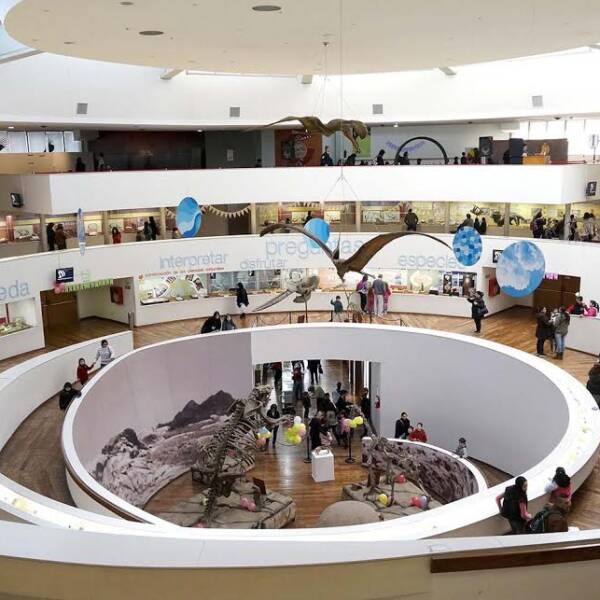 Convocatoria abierta del Museo de Ciencias Naturales