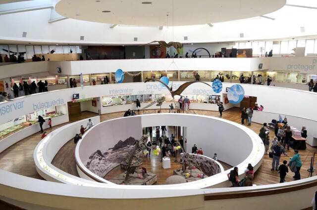 Convocatoria abierta del Museo de Ciencias Naturales