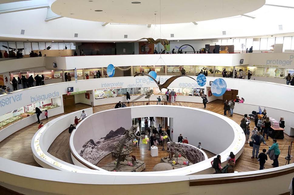Convocatoria abierta del Museo de Ciencias Naturales