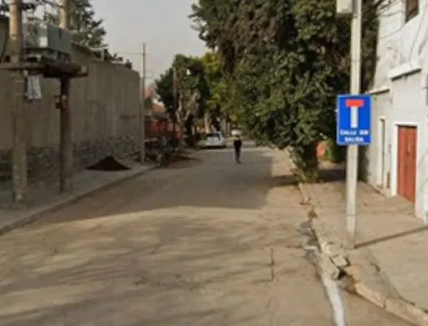 Un perro encontró restos humanos