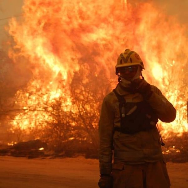 Incendios forestales: Este año se quemaron menos de un 20% de las hectáreas afectadas en 2024-La Ola Digital