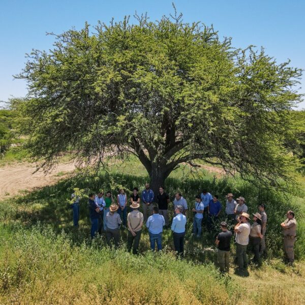 Córdoba, La Pampa y San Luis firmaron un convenio para proteger el Caldén-La Ola Digital