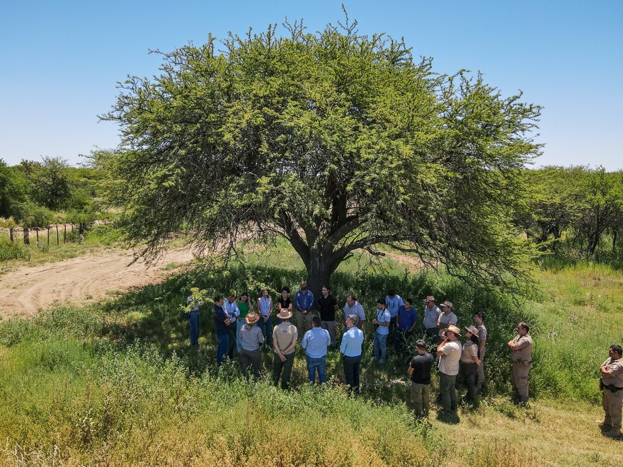 Córdoba, La Pampa y San Luis firmaron un convenio para proteger el Caldén-La Ola Digital