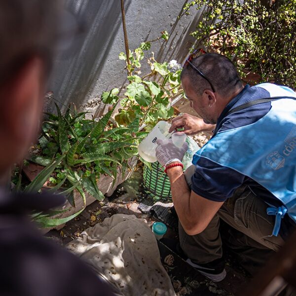 Recomendaciones para eliminar posibles criaderos de mosquitos-La Ola Digital