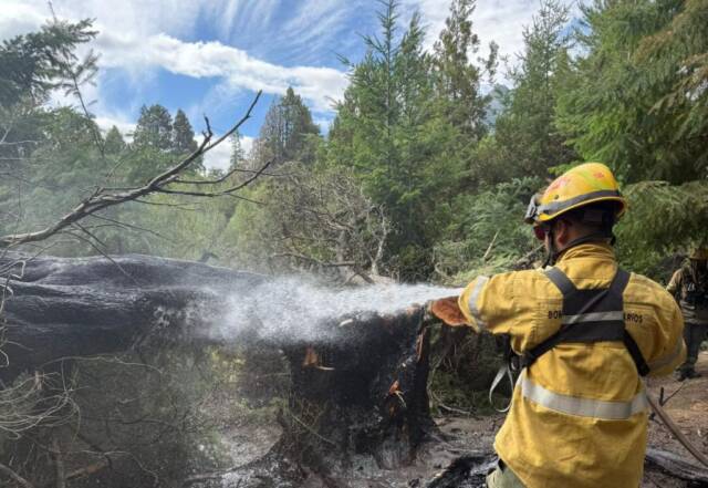Bomberos cordobeses en Chubut