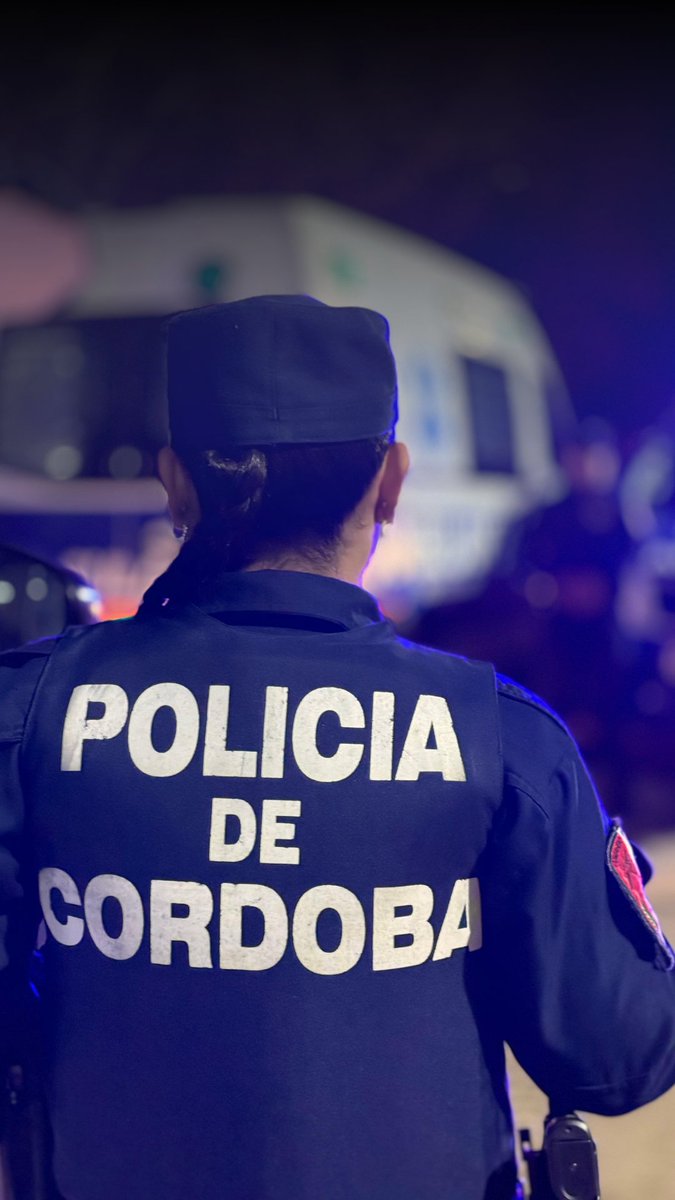 Denuncian robos reiterados en Los Reartes-La Ola Digital