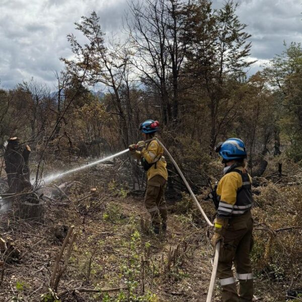 Chubut: mañana parte un cuarto grupo de bomberos cordobeses hacia la zona de incendios-La Ola Digital