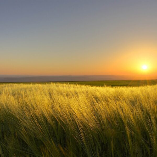 El clima en Córdoba y Calamuchita: lunes 23 de marzo-La Ola Digital