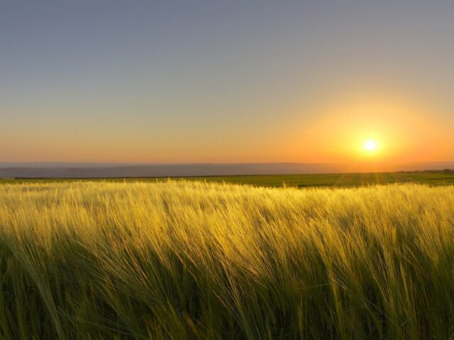 El clima en Córdoba y Calamuchita: lunes 23 de marzo-La Ola Digital