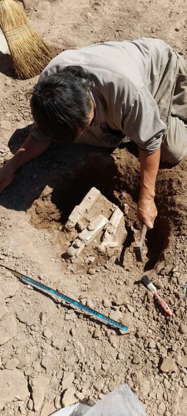 Amboy: encontraron restos fósiles de un Megatherium americanum-La Ola Digital