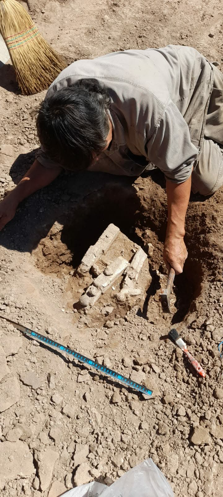 Amboy: encontraron restos fósiles de un Megatherium americanum-La Ola Digital