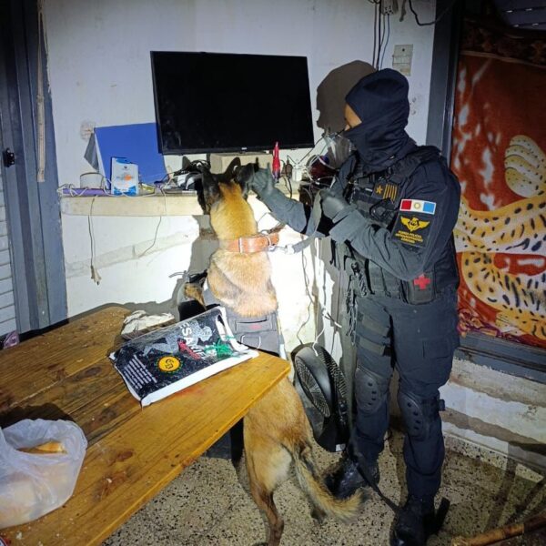 Cayó una banda narcofamiliar en Santa Rosa de Calamuchita: 4 detenidos-La Ola Digital