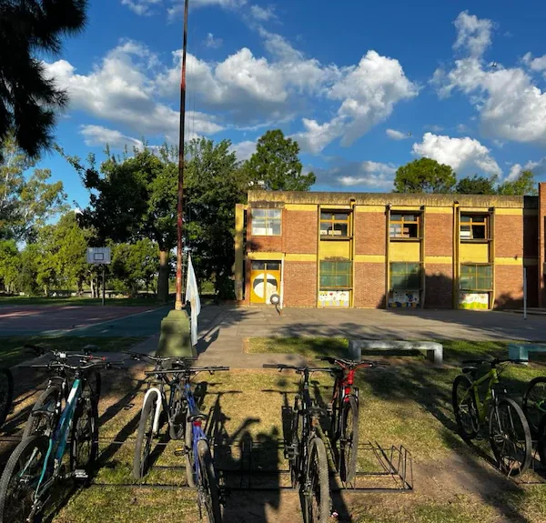 Posteos alamantes e indolencia