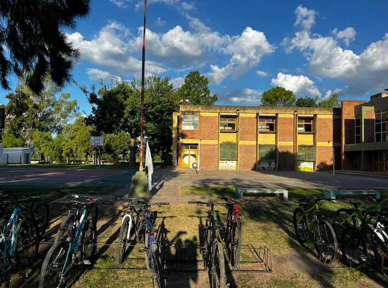 Posteos alamantes e indolencia