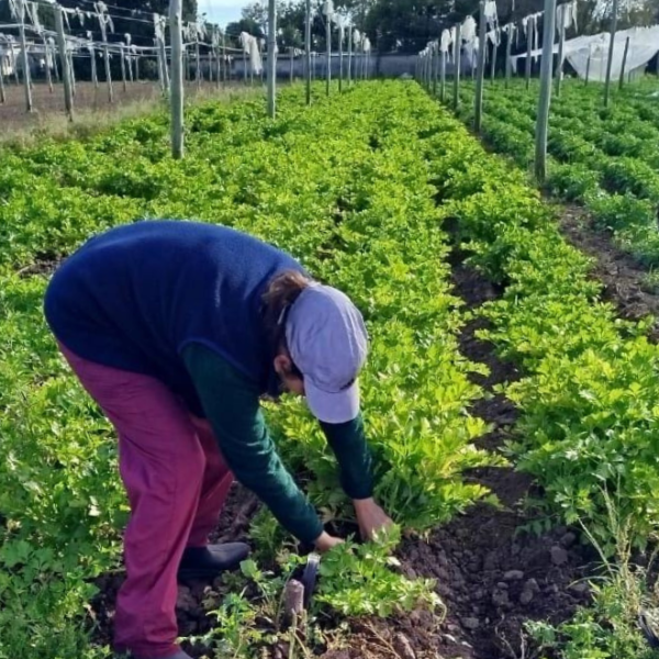 La Huerta en Tu Hogar 2026