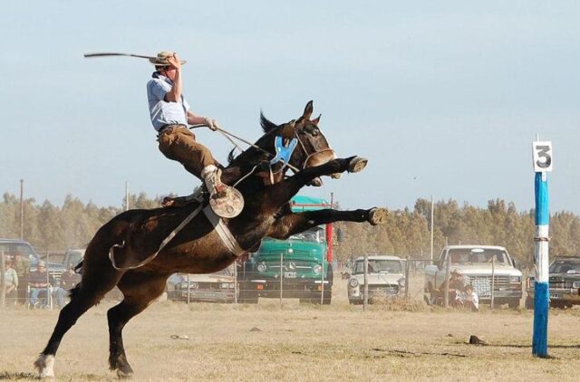 Villa Amancay se prepara para una gran jineteada y festival gaucho este 3 de mayo-La Ola Digital