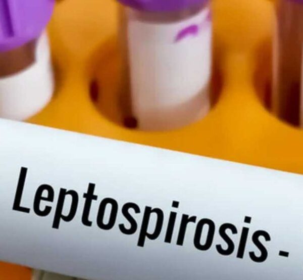 Se confirmó un fallecido por leptospirosis y se refuerzan las medidas sanitarias en Córdoba-La Ola Digital