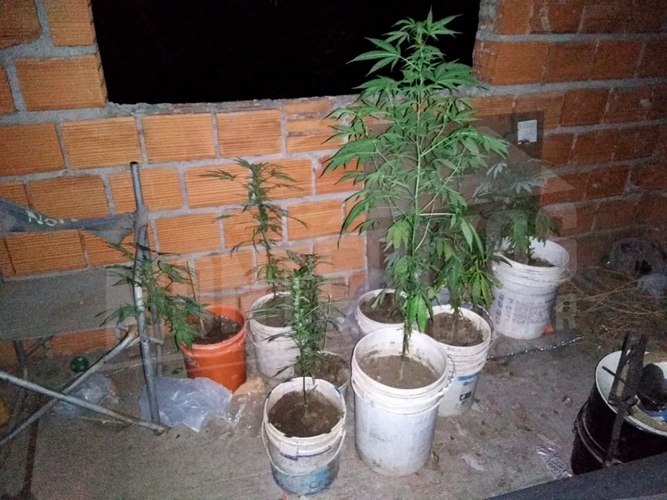 Detenciones, secuestro de drogas y accidentes viales este finde en Calamuchita-La Ola Digital