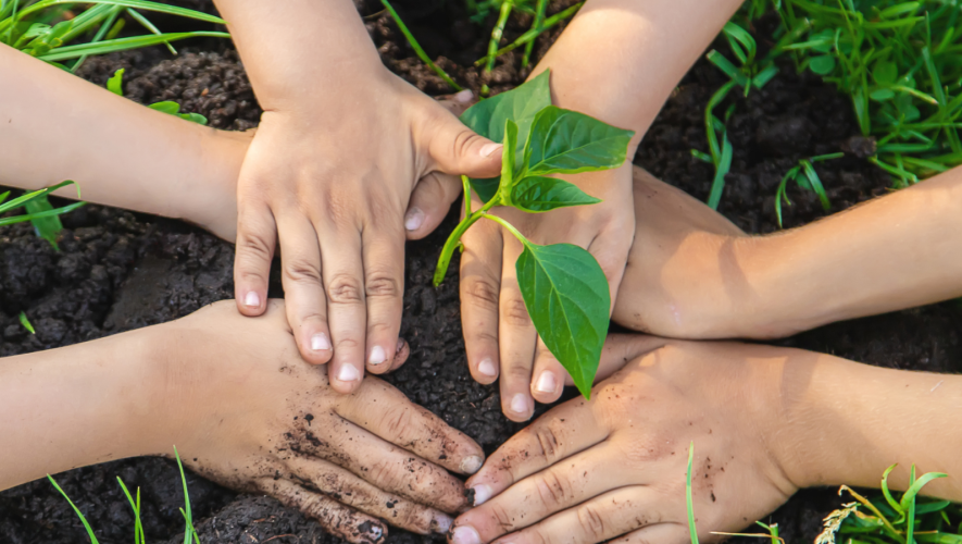 Villa Rumipal impulsa una jornada de reforestación con más de 300 plantas nativas-La Ola Digital
