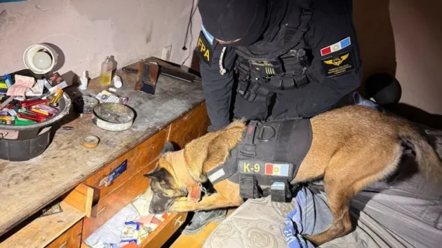 Una mujer de 73 años fue detenida por dealer