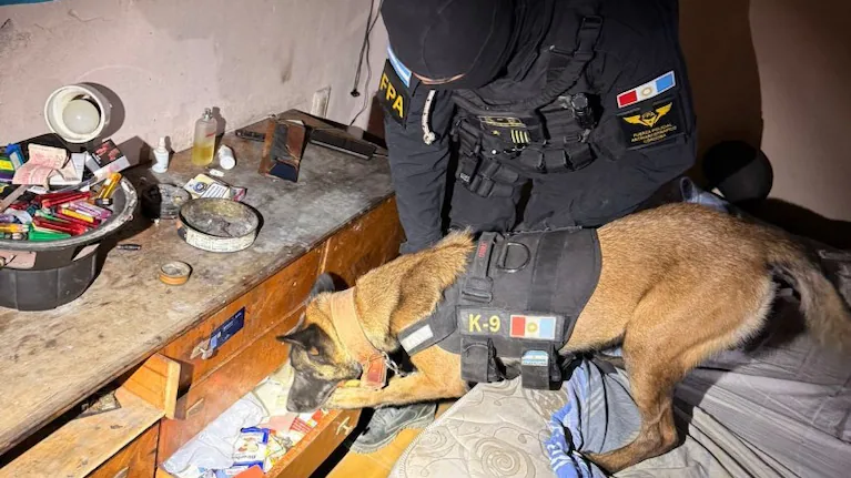 Una mujer de 73 años fue detenida por dealer