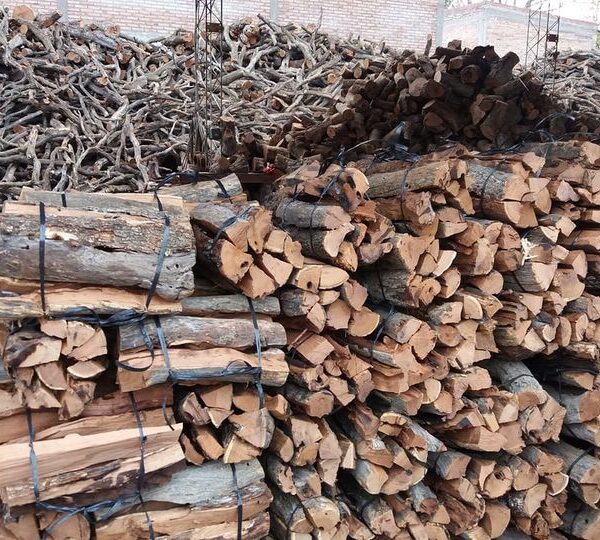 Villa Ciudad Parque relanza el programa “Leña Solidaria” para asistir a familias durante el invierno