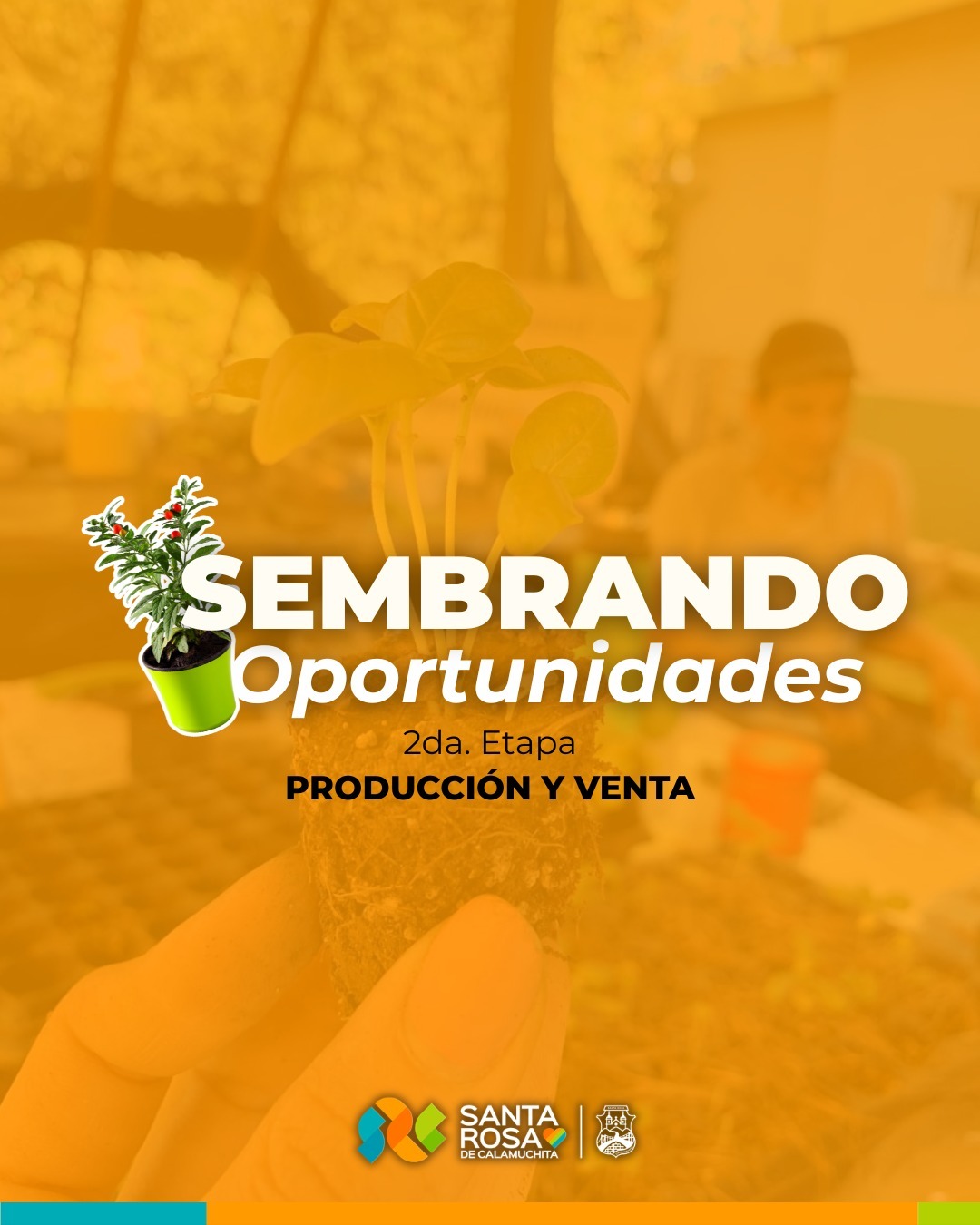 Santa Rosa impulsa la segunda etapa de “Sembrando Oportunidades” con foco en la producción y venta-La Ola Digital