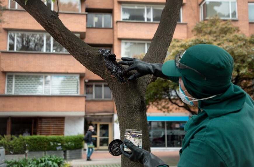 Villa del Dique invita a participar de un curso gratuito de arboricultura urbana-La Ola Digital