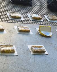 Hallaron 20 ladrillos de cocaína en la Terminal de Córdoba: tenían el sello del “Patrón del Norte”