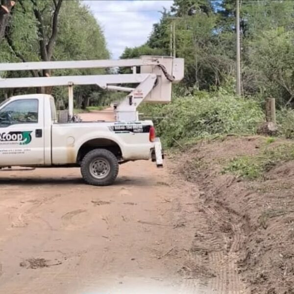 ¿A qué se debieron los cortes de luz registrados anoche en Santa Rosa?