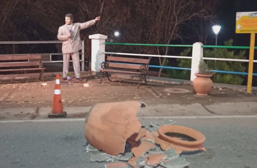 Identificaron al responsable del acto vandálico contra un macetón junto a la estatua de Gary en Amboy