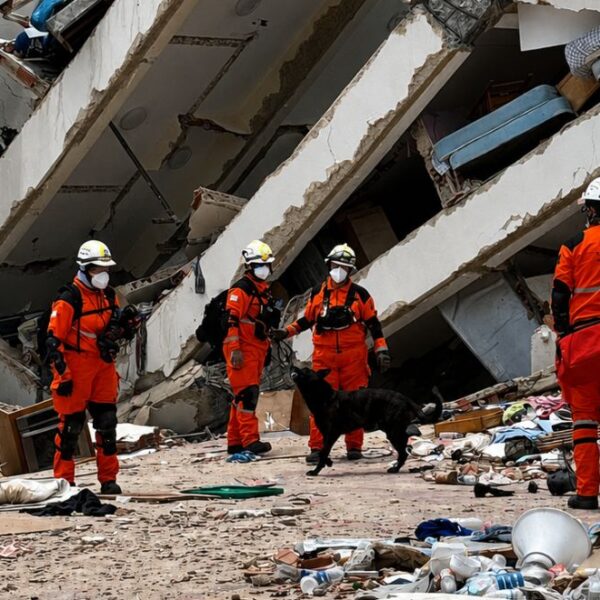 Brigadistas cordobeses ya trabajan en la zona afectada por el terremoto en Venezuela