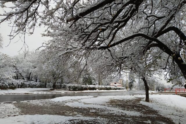 Alerta por nevadas en las sierras de Córdoba: cuándo podrían llegar-La Ola Digital