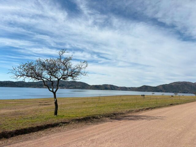 Potrero de Garay denunció daños a árboles autóctonos plantados en la costa del Lago Los Molinos-La Ola Digital