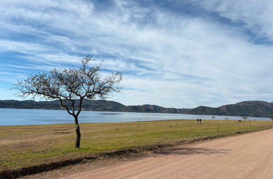 Potrero de Garay denunció daños a árboles autóctonos plantados en la costa del Lago Los Molinos-La Ola Digital