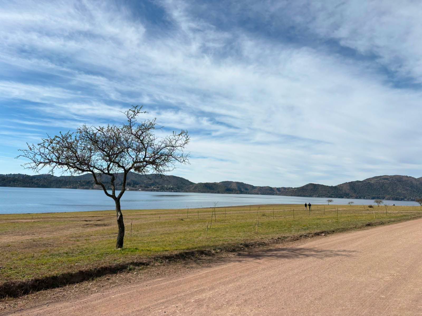 Potrero de Garay denunció daños a árboles autóctonos plantados en la costa del Lago Los Molinos-La Ola Digital