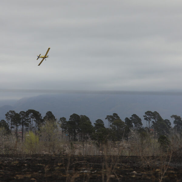 Córdoba: advierten por muy alto riesgo de incendios forestales