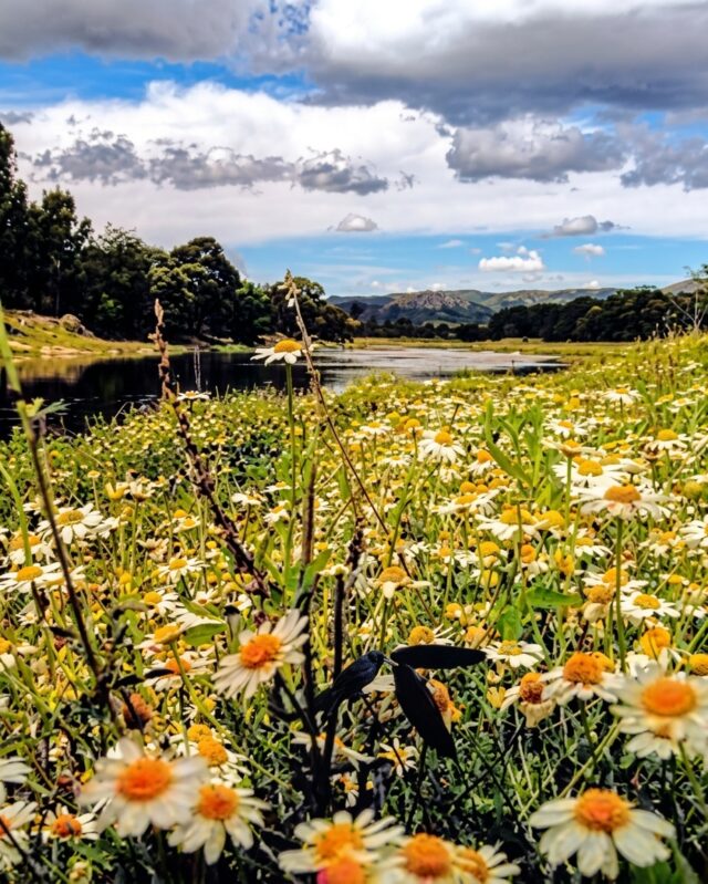Septiembre en Villa Ciudad Parque: naturaleza, producción, primavera y cultura-La Ola Digital