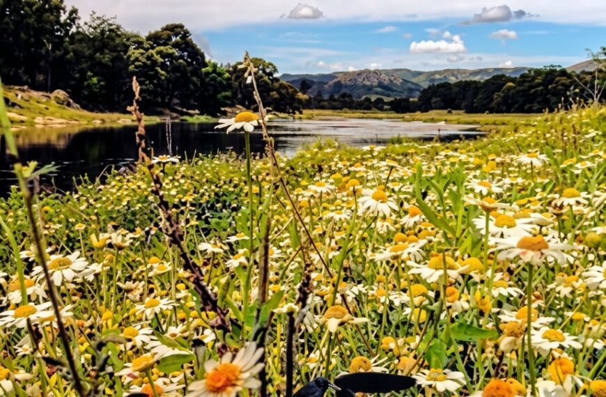 Septiembre en Villa Ciudad Parque: naturaleza, producción, primavera y cultura-La Ola Digital