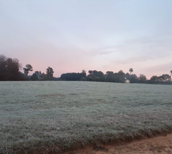 El tiempo en Calamuchita: frío, heladas y un marcado ascenso de temperatura durante la semana