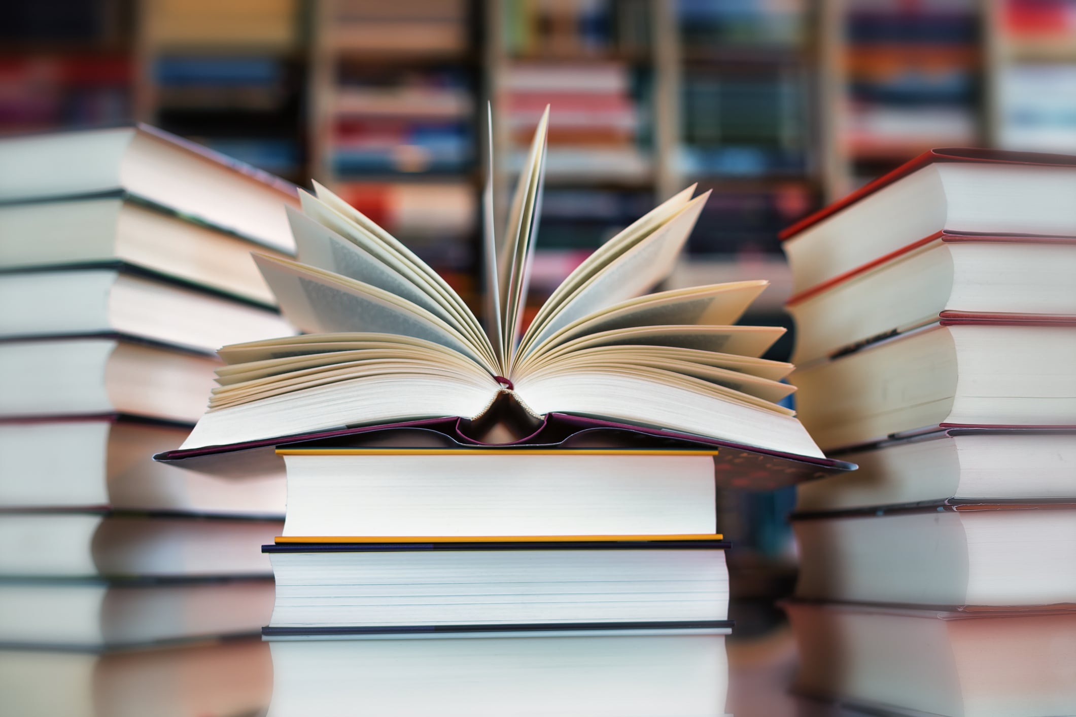 16° Encuentro de Escritores y Feria de Libros en Los Reartes: tres días para celebrar la literatura y la cultura-La Ola Digital