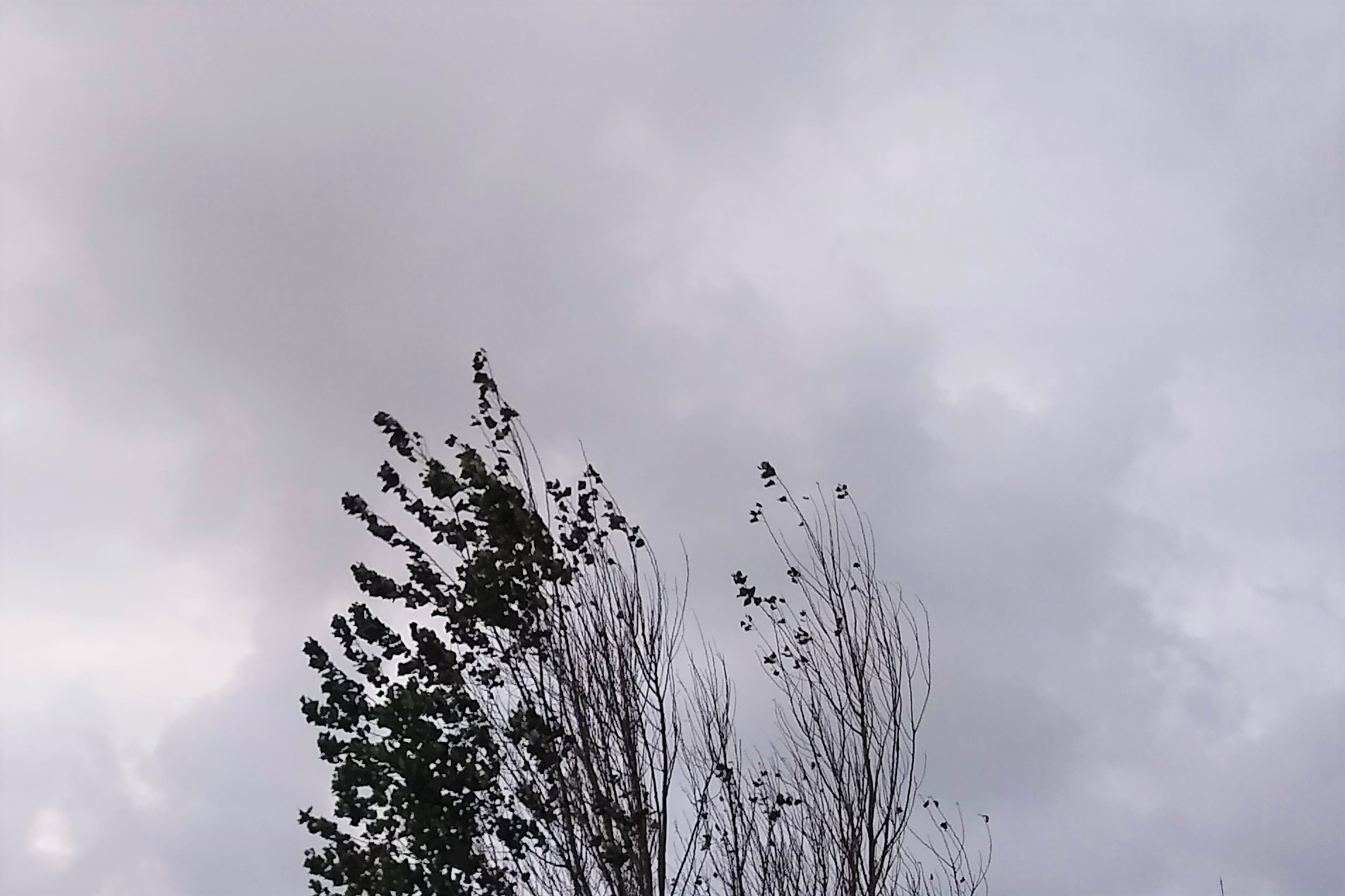 Cómo estará el tiempo en Calamuchita este fin de semana: frío, nubosidad y posibles lluvias-La Ola Digital