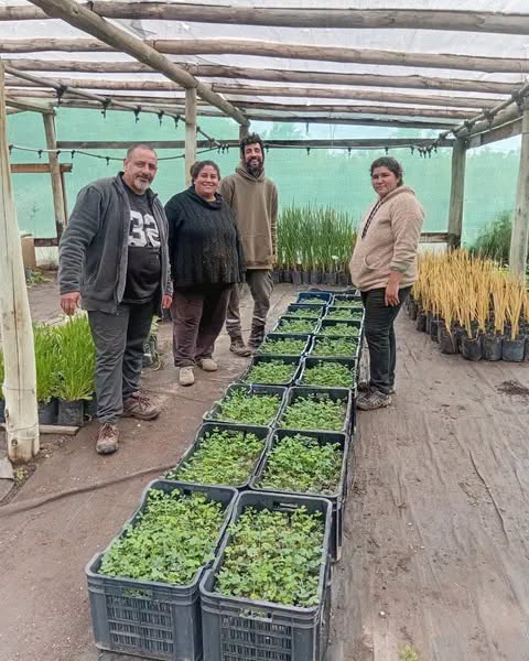 Villa Ciudad Parque aportó 1.000 tabaquillos para recuperar los bosques de las Sierras Grandes
